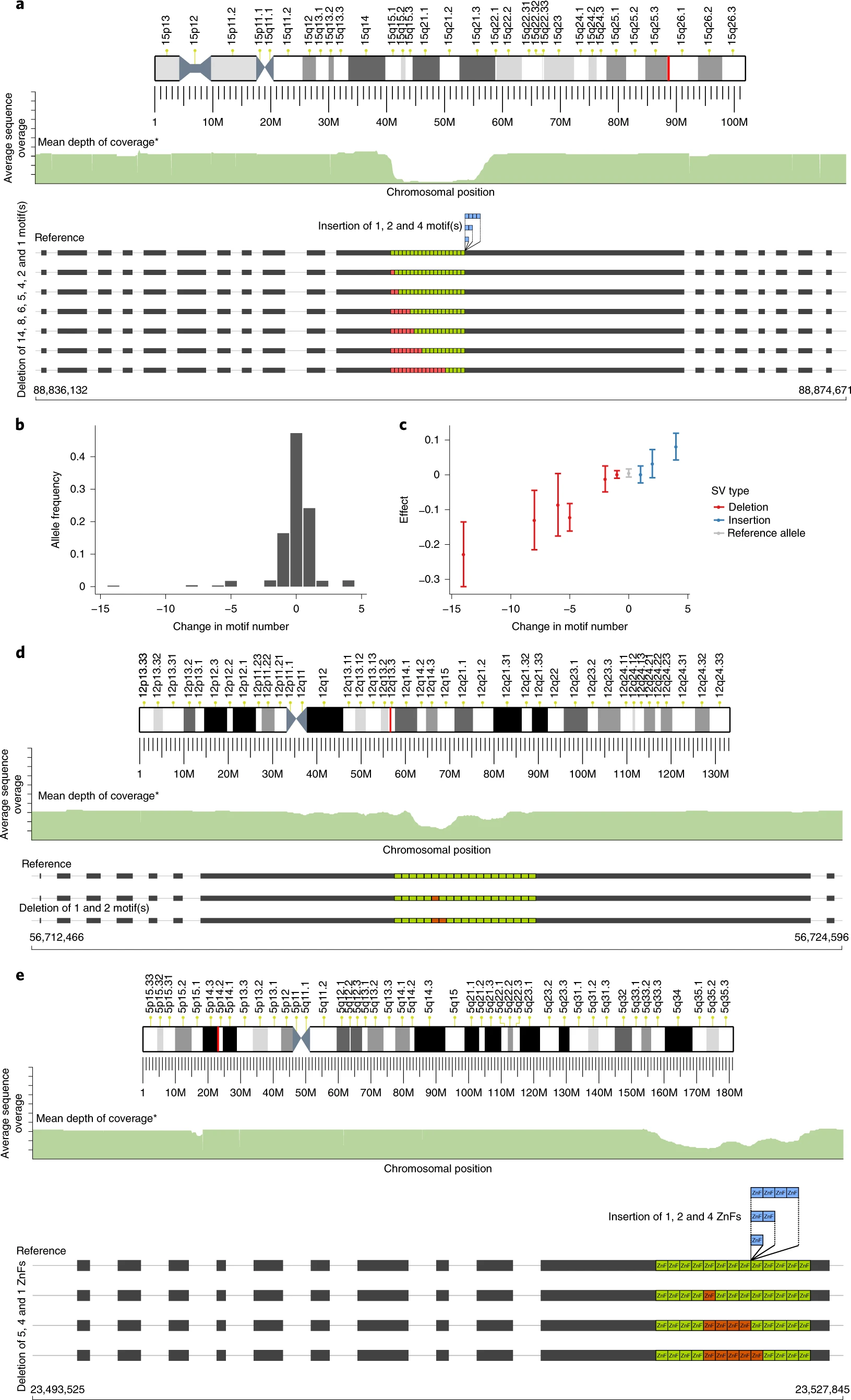 UCSC Genome Browser