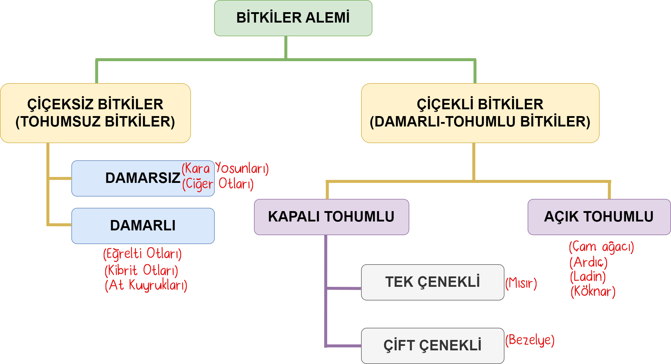 Bitkilerin Sınıflandırılması