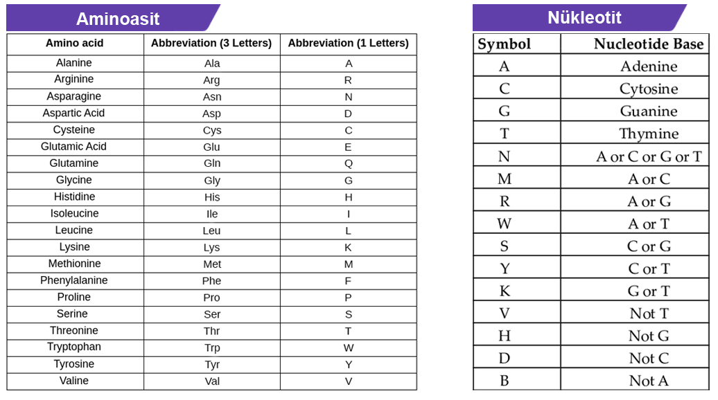 Excel File Sheets Data