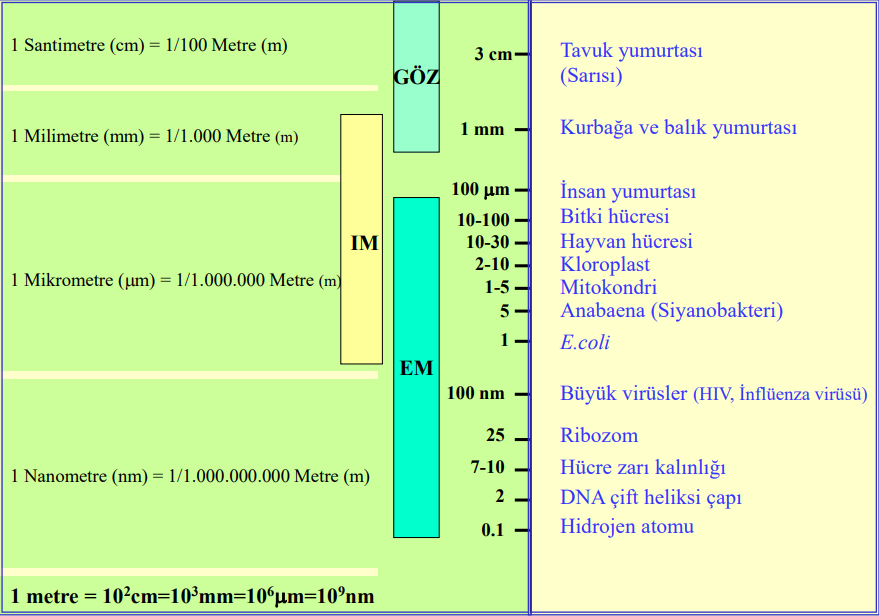 Biyolojide Ölçme Birimleri